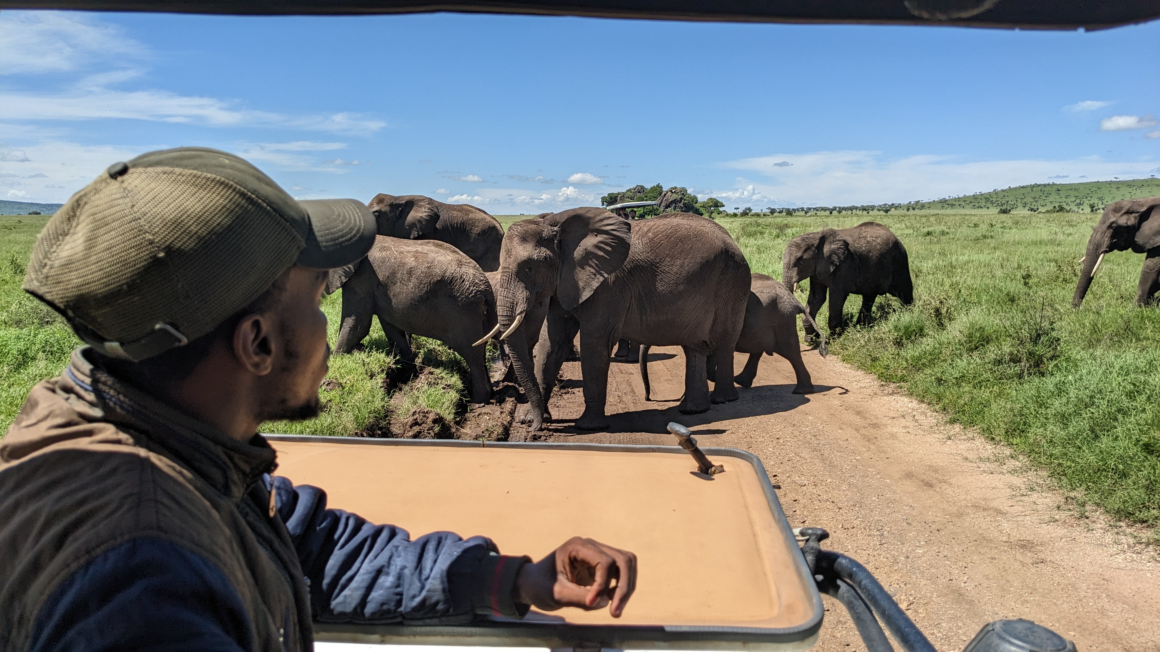 Safari vehicle with professional driver guide in Tanzania